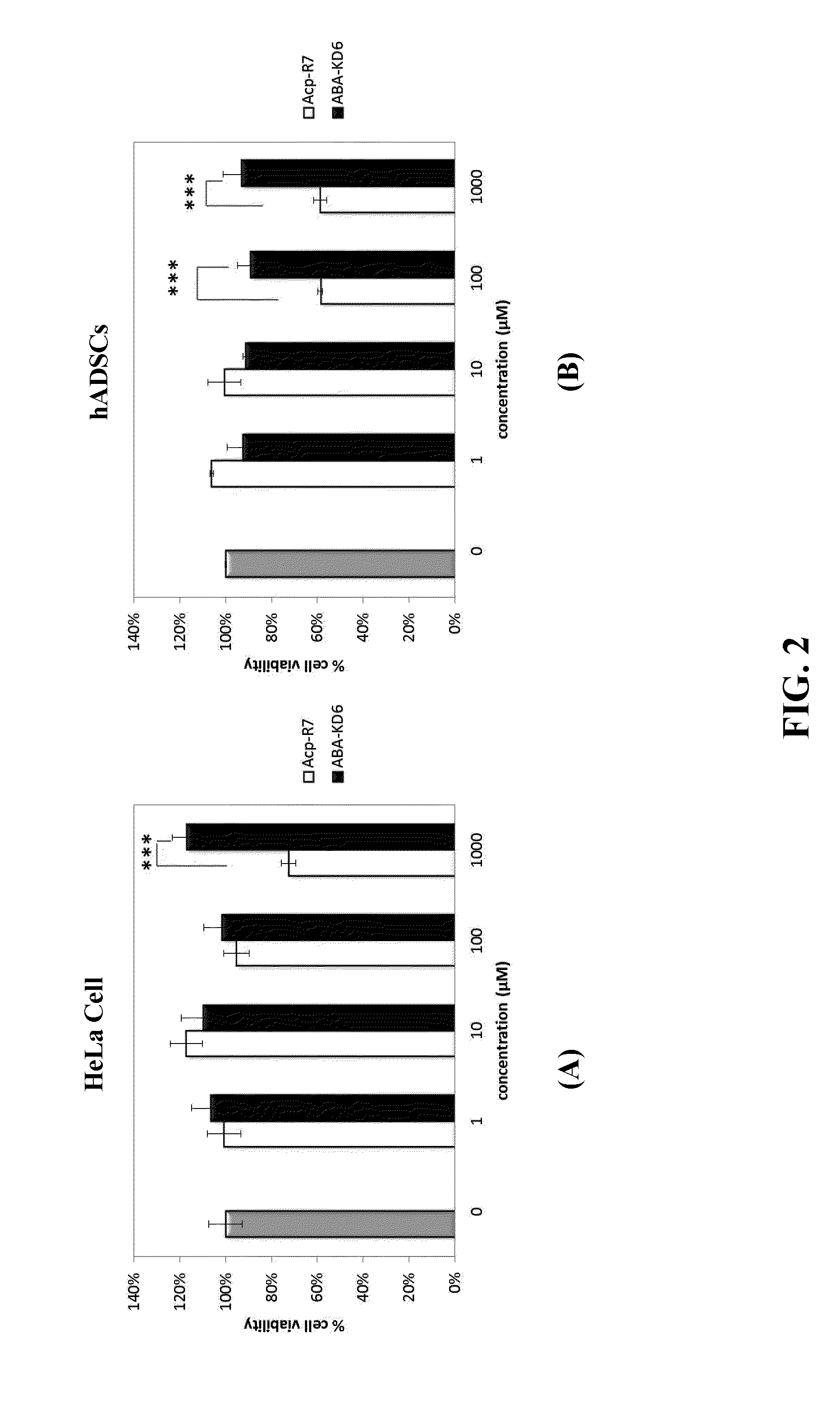 Anionic cell penetrating peptide and its use for intracellular delivery