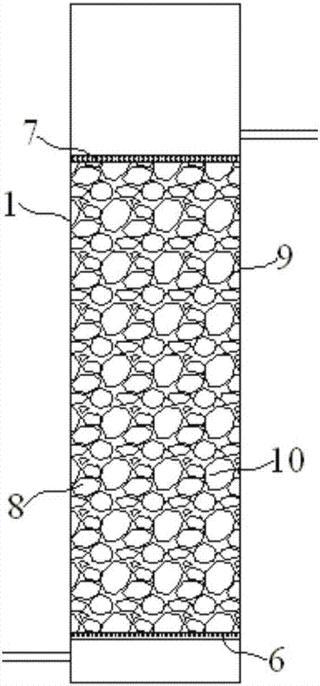 Combined biological filter for removing nitrogen and phosphorus