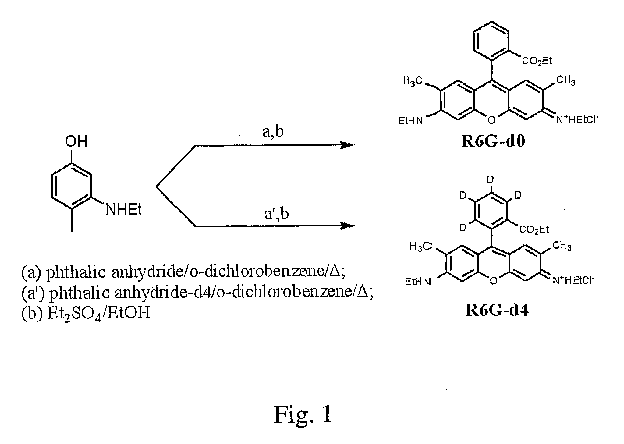 Quantitative proteomics with isotopic substituted raman active labeling