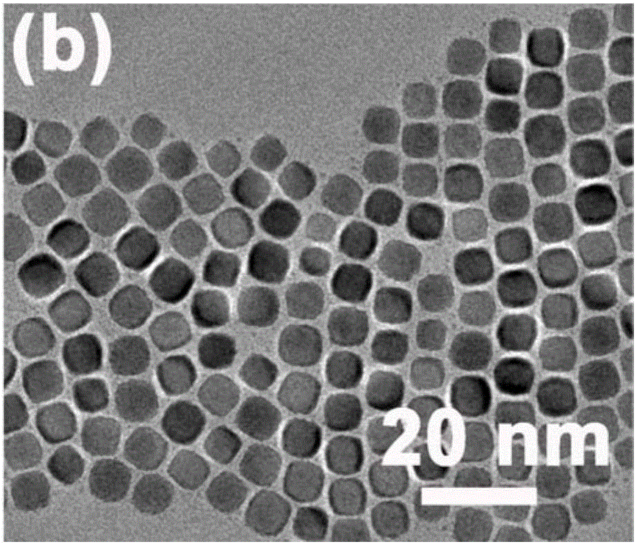 Method for preparing solvated nanocrystalline thermoelectric thin film through interface control method