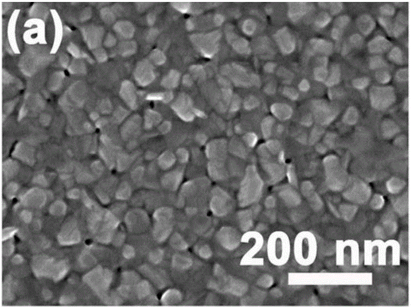 Method for preparing solvated nanocrystalline thermoelectric thin film through interface control method