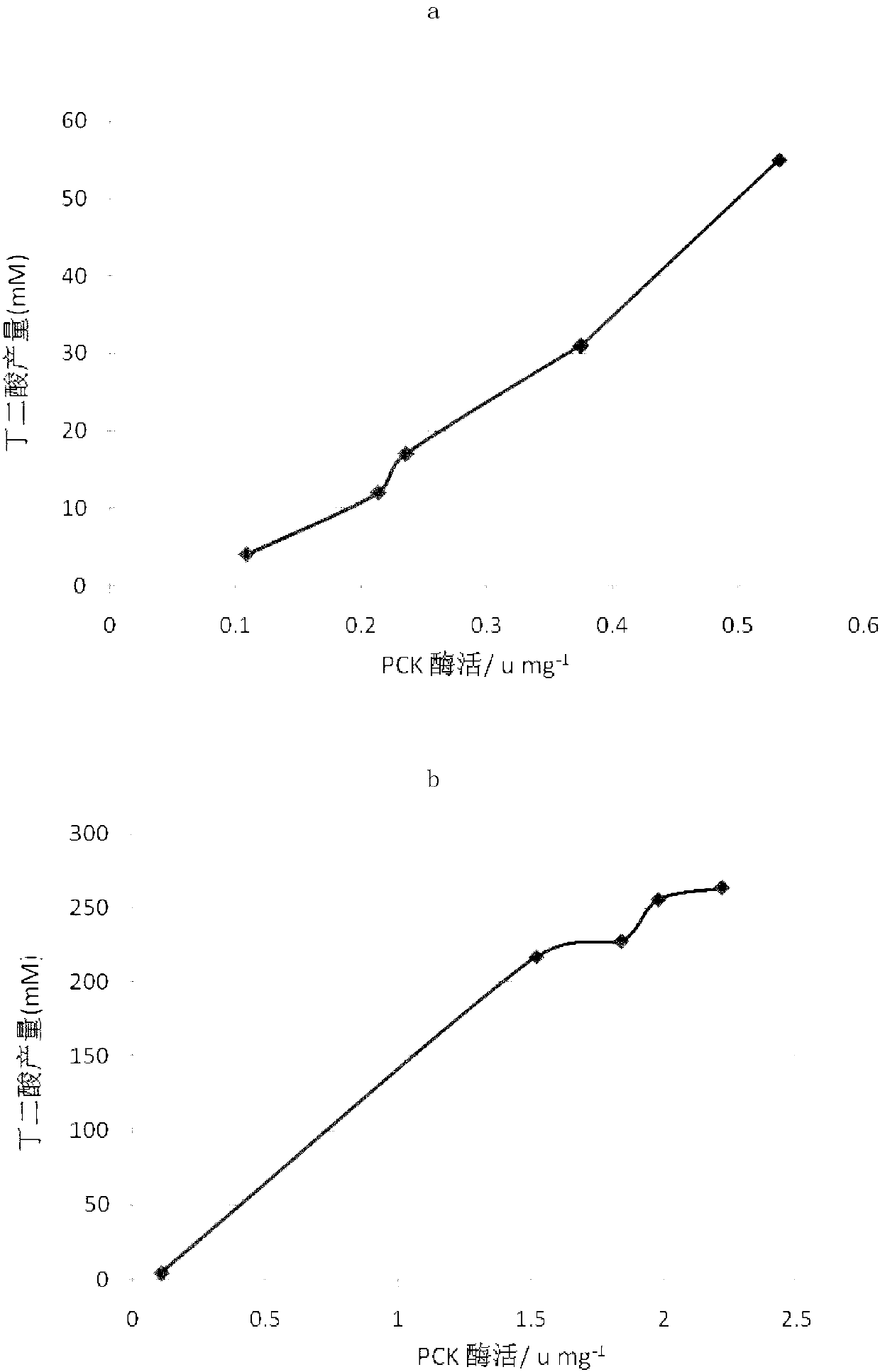 Recombinant bacteria for increasing yield of succinic acid and construction method thereof