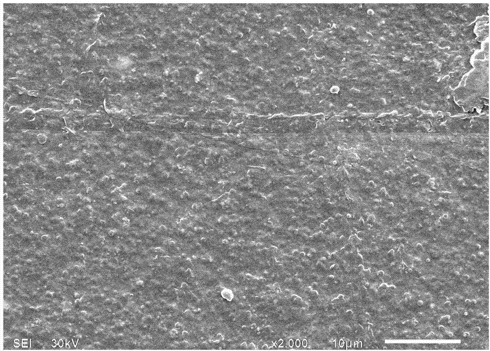 Preparation method of polyvinylidene fluoride-based thin film