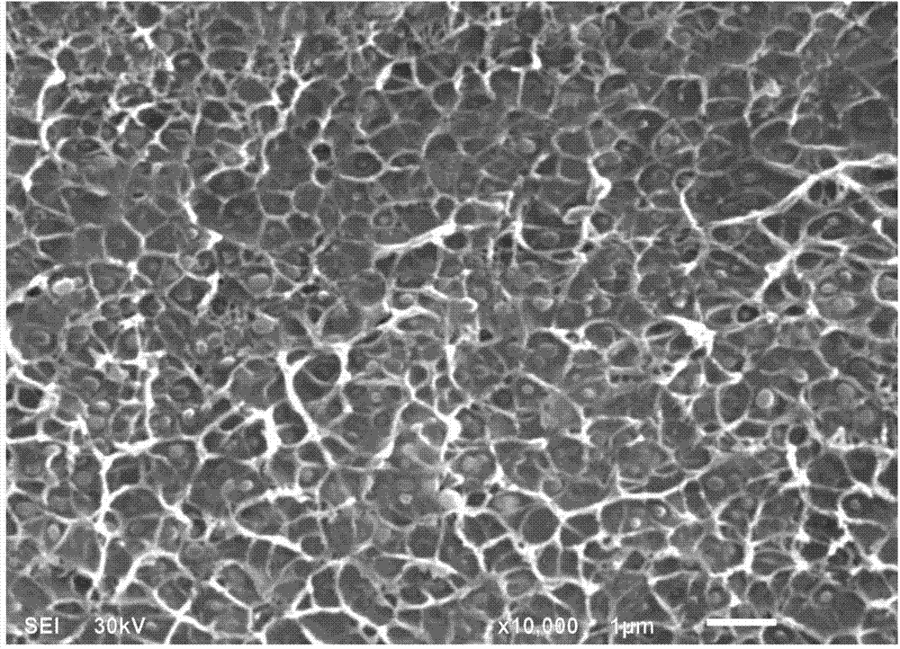 Preparation method of polyvinylidene fluoride-based thin film