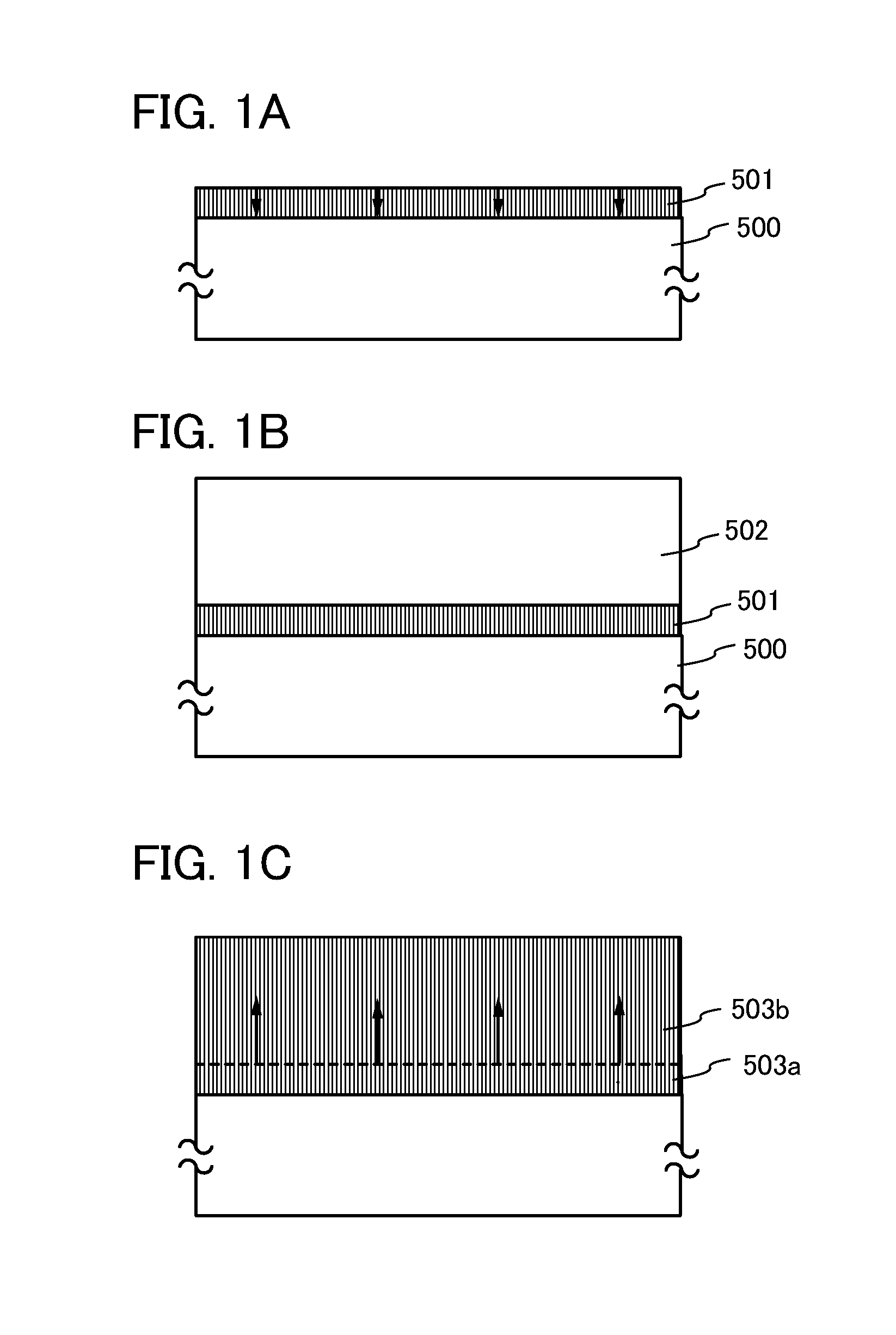 Display device and electronic device including the same