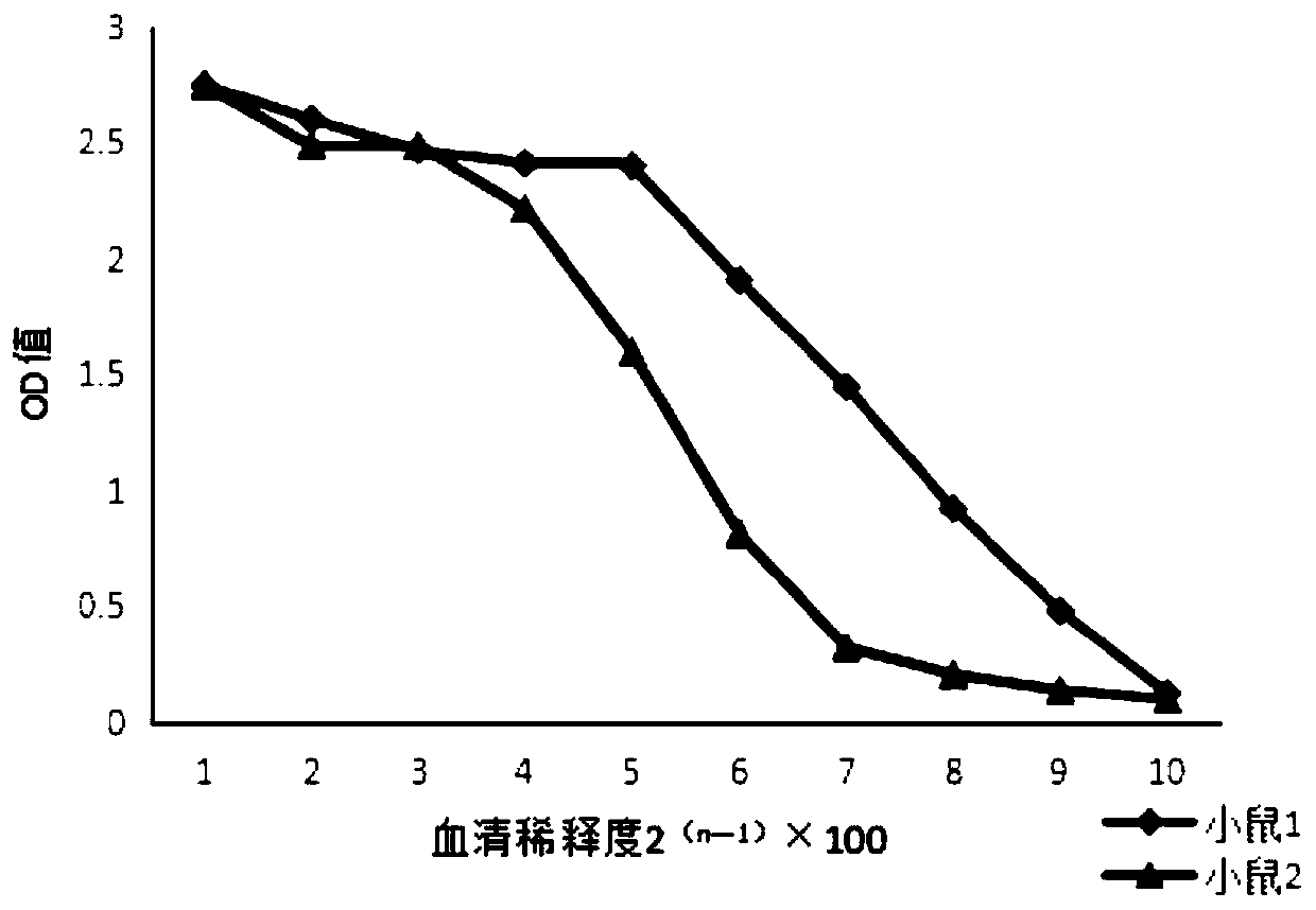 Preparation method for monoclonal antibody of riemerella anatipestifer