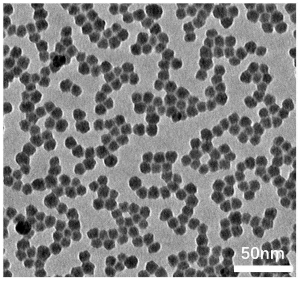 A kind of high temperature resistant elastic graphene airgel and preparation method thereof