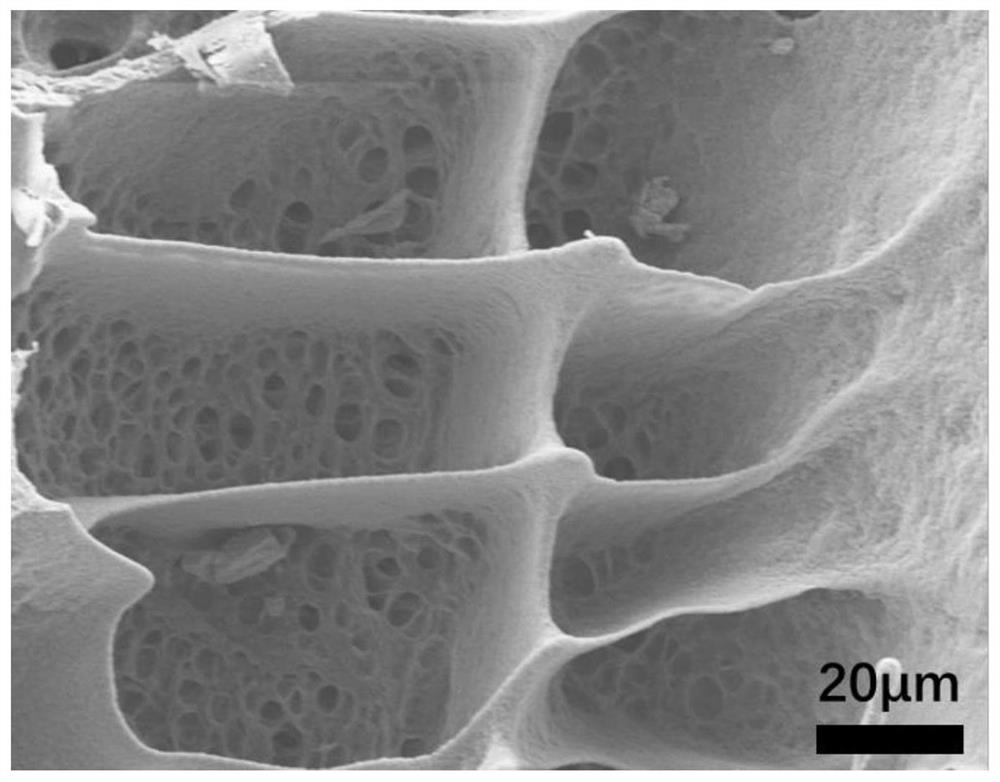 A kind of high temperature resistant elastic graphene airgel and preparation method thereof