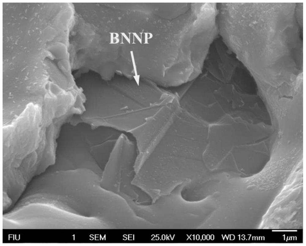 Boron nitride nanosheet reinforced nickel-aluminum intermetallic compound composite coating and preparation method thereof