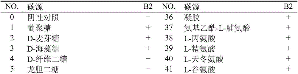 Strain of Arthrobacter sp. B2 and application thereof to nitrogen-containing sewage degradation