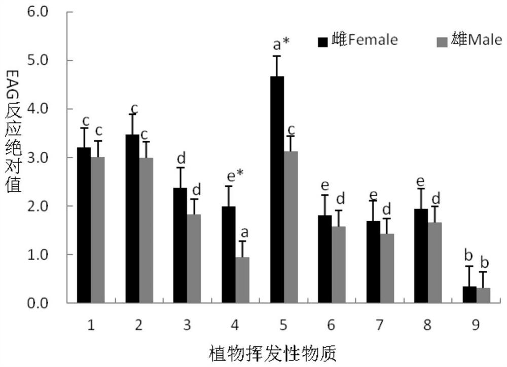 A kind of volatile substance of Lygus forage host plant and its application