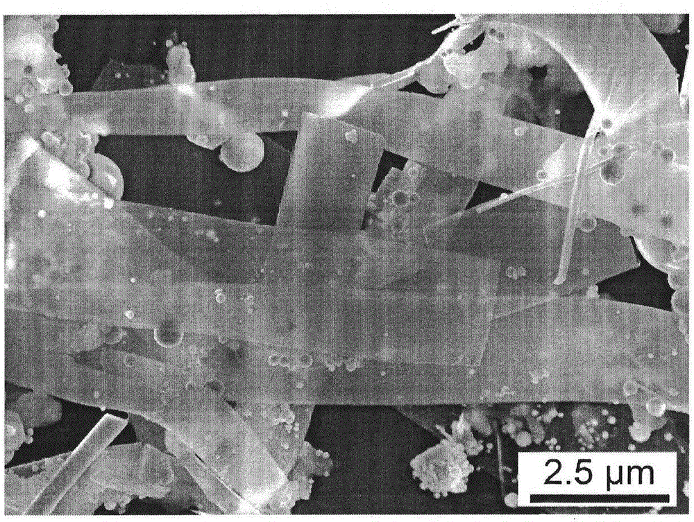 Half-metallic bismuth nanoribbon, half-metallic bismuth nanospheres and preparation method of half-metallic bismuth nanoribbon and half-metallic bismuth nanospheres