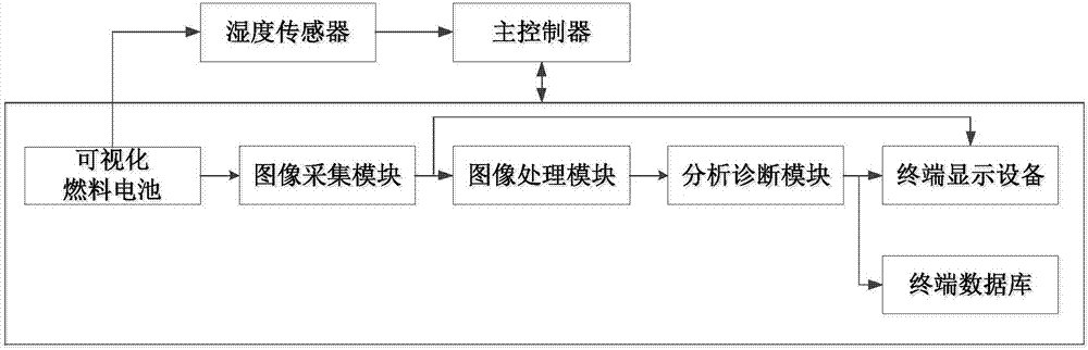 Fuel cell water distribution visual on-line detection system