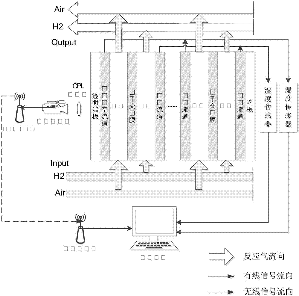 Fuel cell water distribution visual on-line detection system