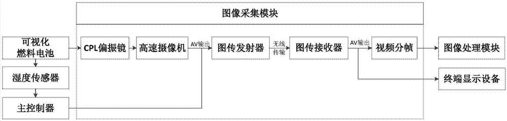 Fuel cell water distribution visual on-line detection system