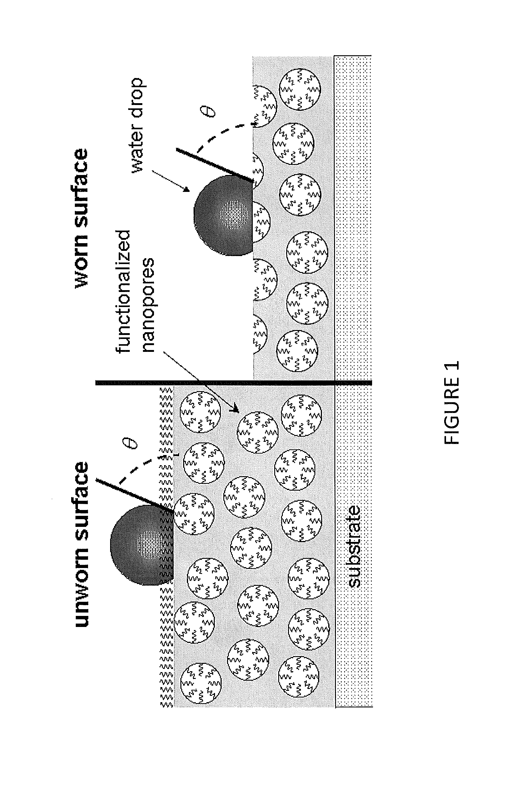 Hydrophobic and oleophobic coatings