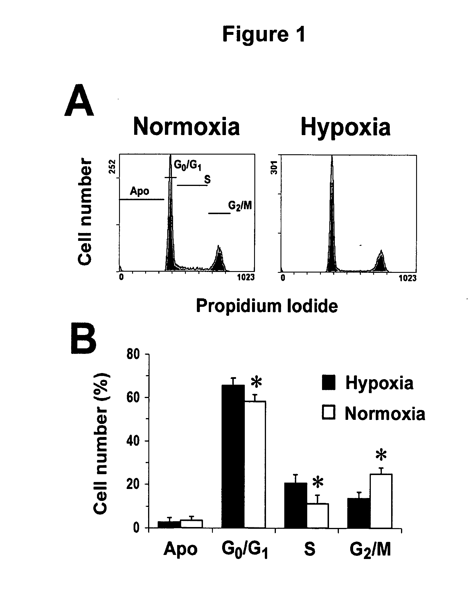 Enhancing treatment of HIF-1 mediated disorders with adenosine A3 receptor agonists