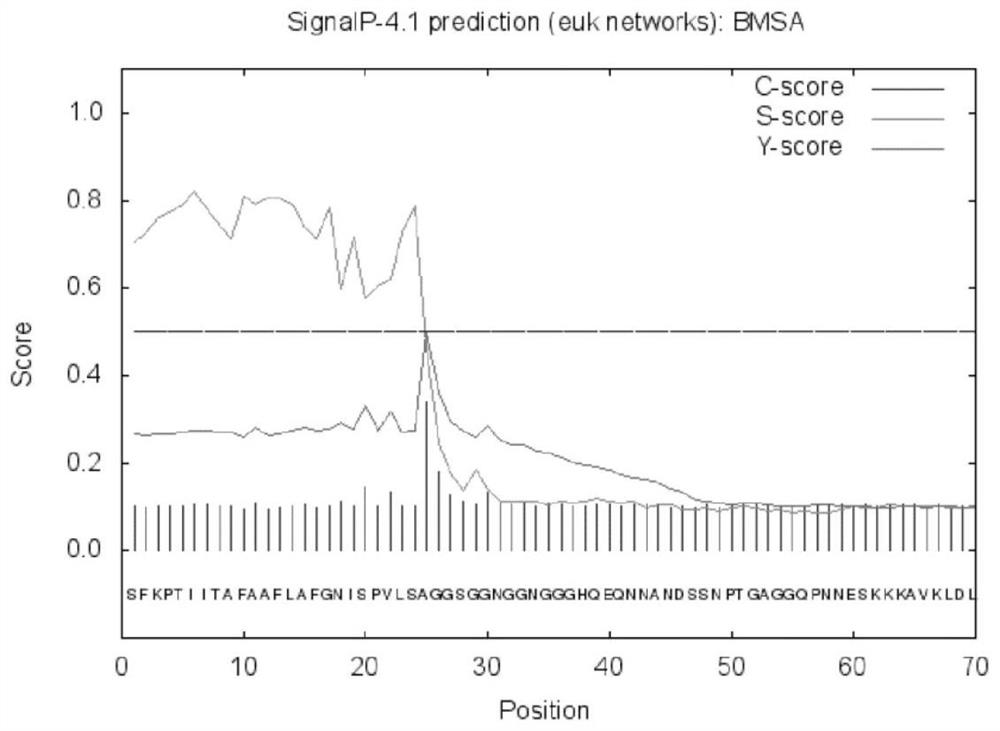 A polypeptide fragment specifically binding to the serum of Babesia patients and its application