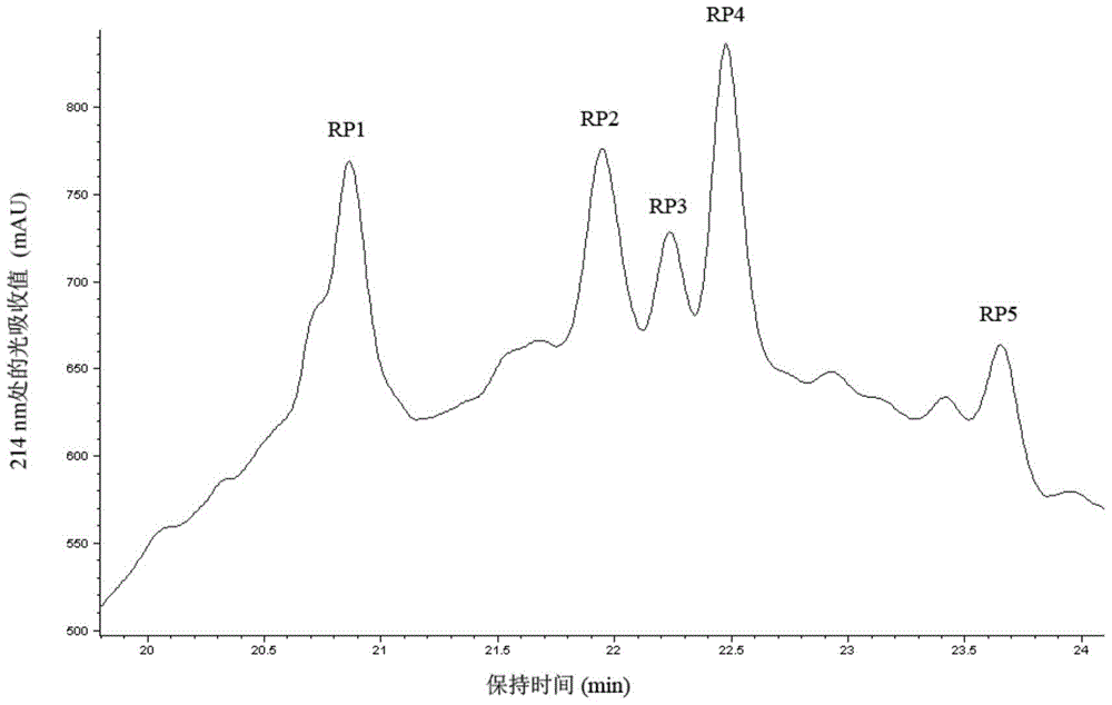 A jellyfish hairpin polypeptide growth factor and its preparation method and application