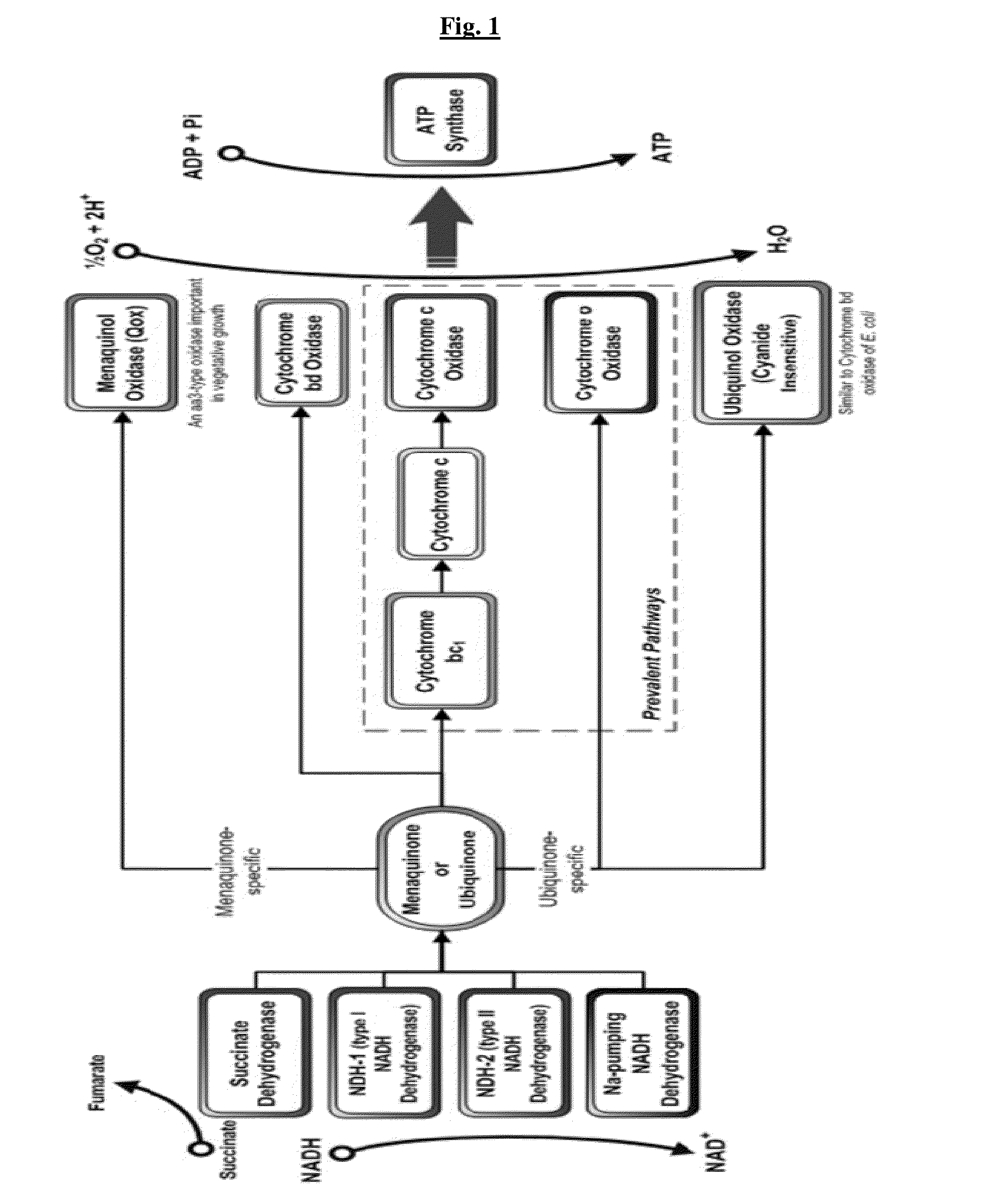 Novel Screening Methods