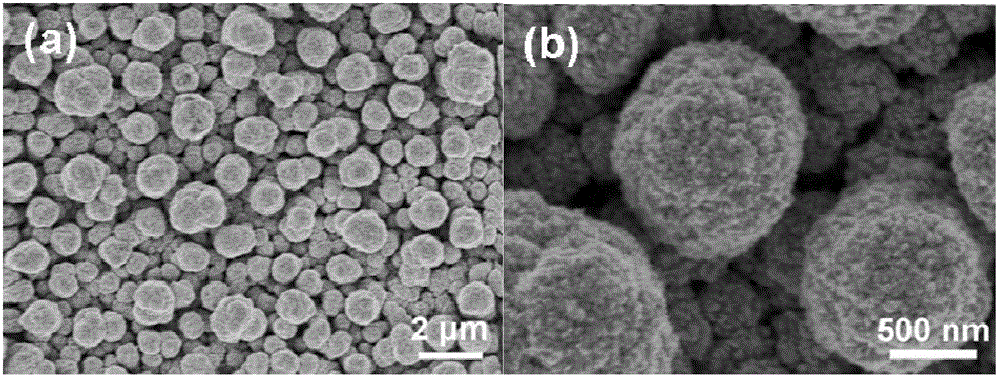 Gold micro-nano structure array and preparation method as well as application thereof