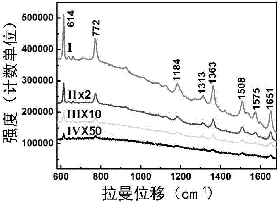 Gold micro-nano structure array and preparation method as well as application thereof