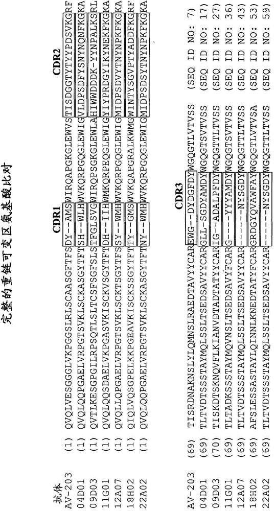 Predicting tumor response to anti-ERBB3 antibodies