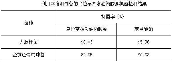 Preparation method of carex meyeriana volatile oil microcapsule