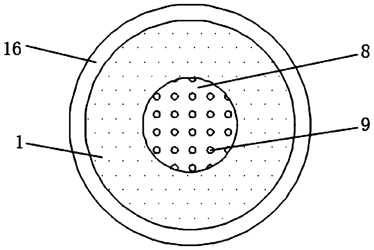 Cell collector for biological genetic test