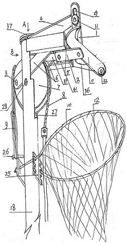 Shearing fruit picker vertical to telescopic regulating rod