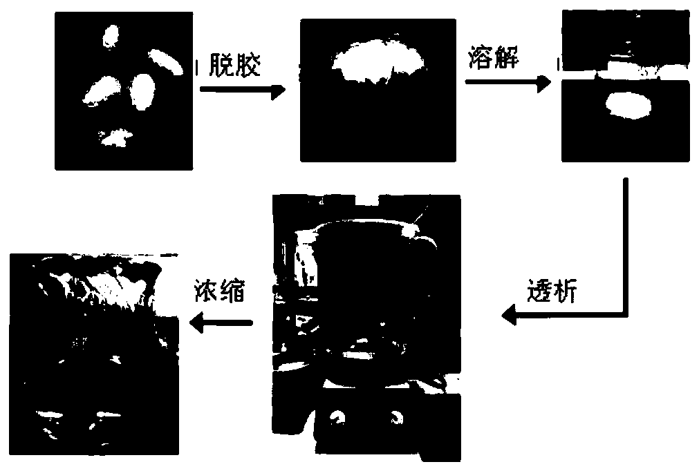 A high-strength, flexible, light-transmitting and implantable silk protein/bacterial cellulose/graphene composite conductive film