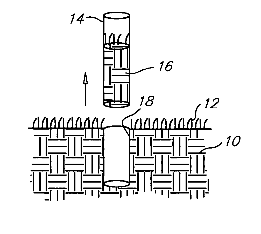 Stabilized soil core samples and method for preparing same