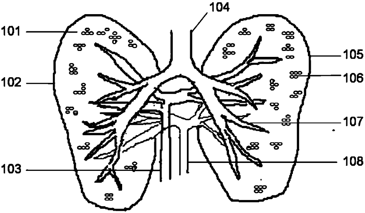 A kind of lung substitute and its three-dimensional printing and injection molding manufacturing method