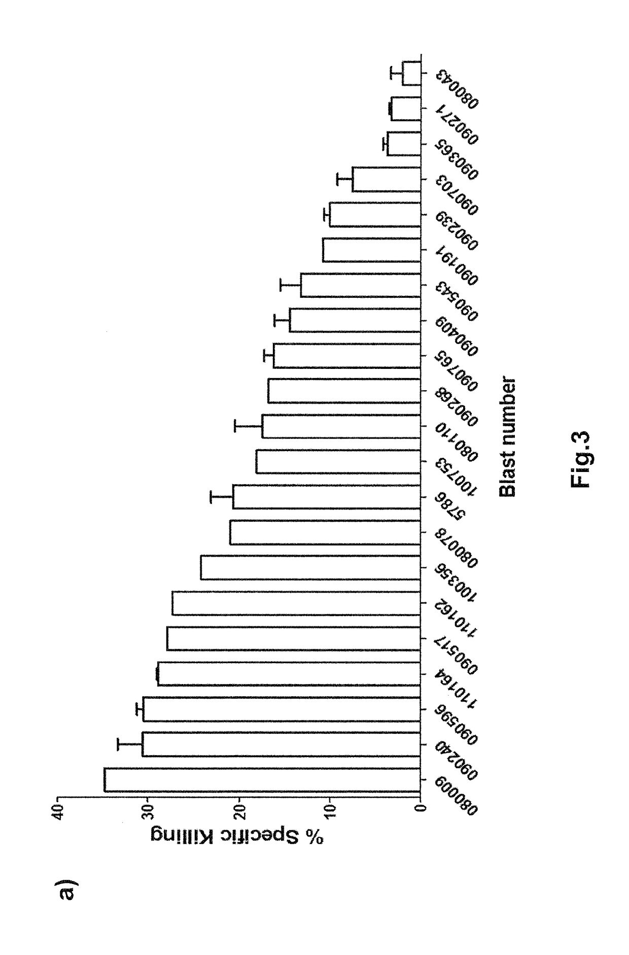 Immunotherapy for the treatment of cancer