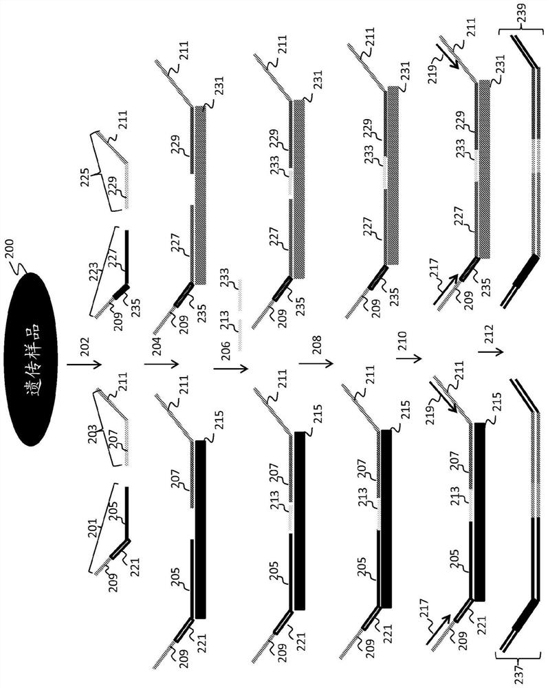 Statistical analysis for noninvasive chromosomal aneuploidy determination