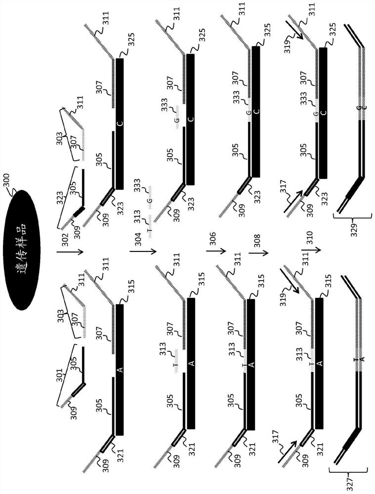 Statistical analysis for noninvasive chromosomal aneuploidy determination