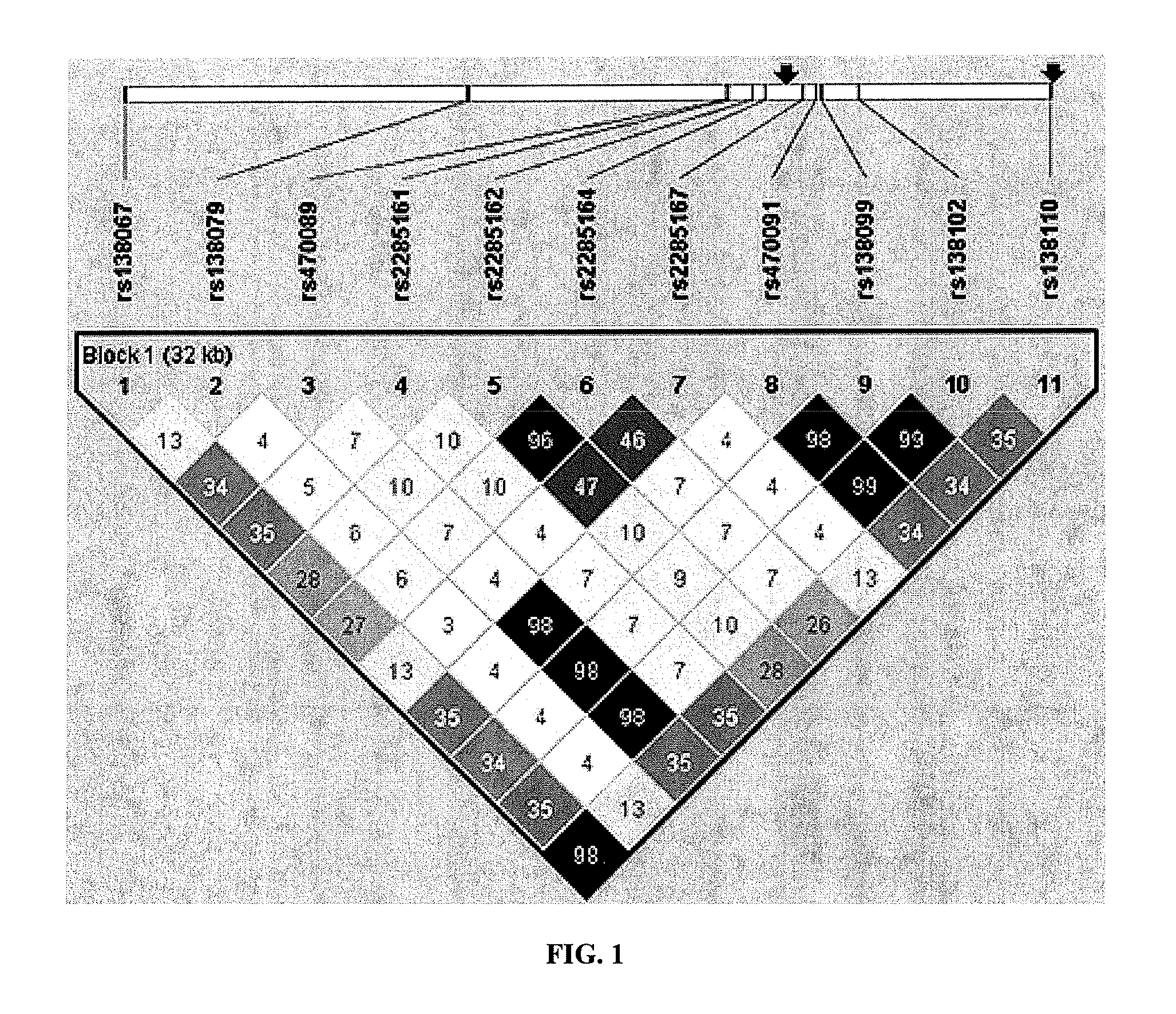 Methods and compositions for the treatment of psychotic disorders through the identification of the SULT4A1-1 haplotype