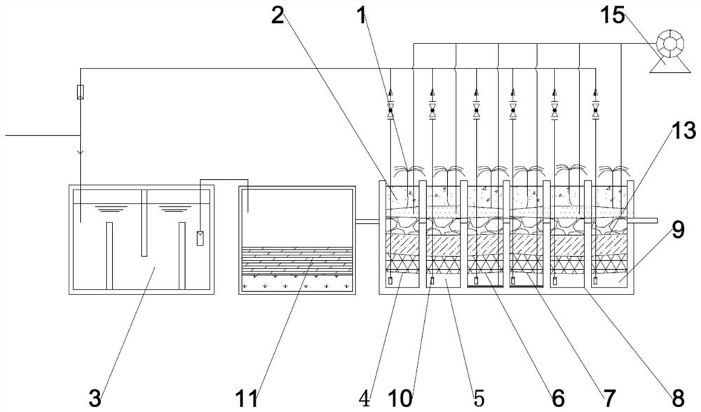 Device and method for treating sewage by using dry land reed