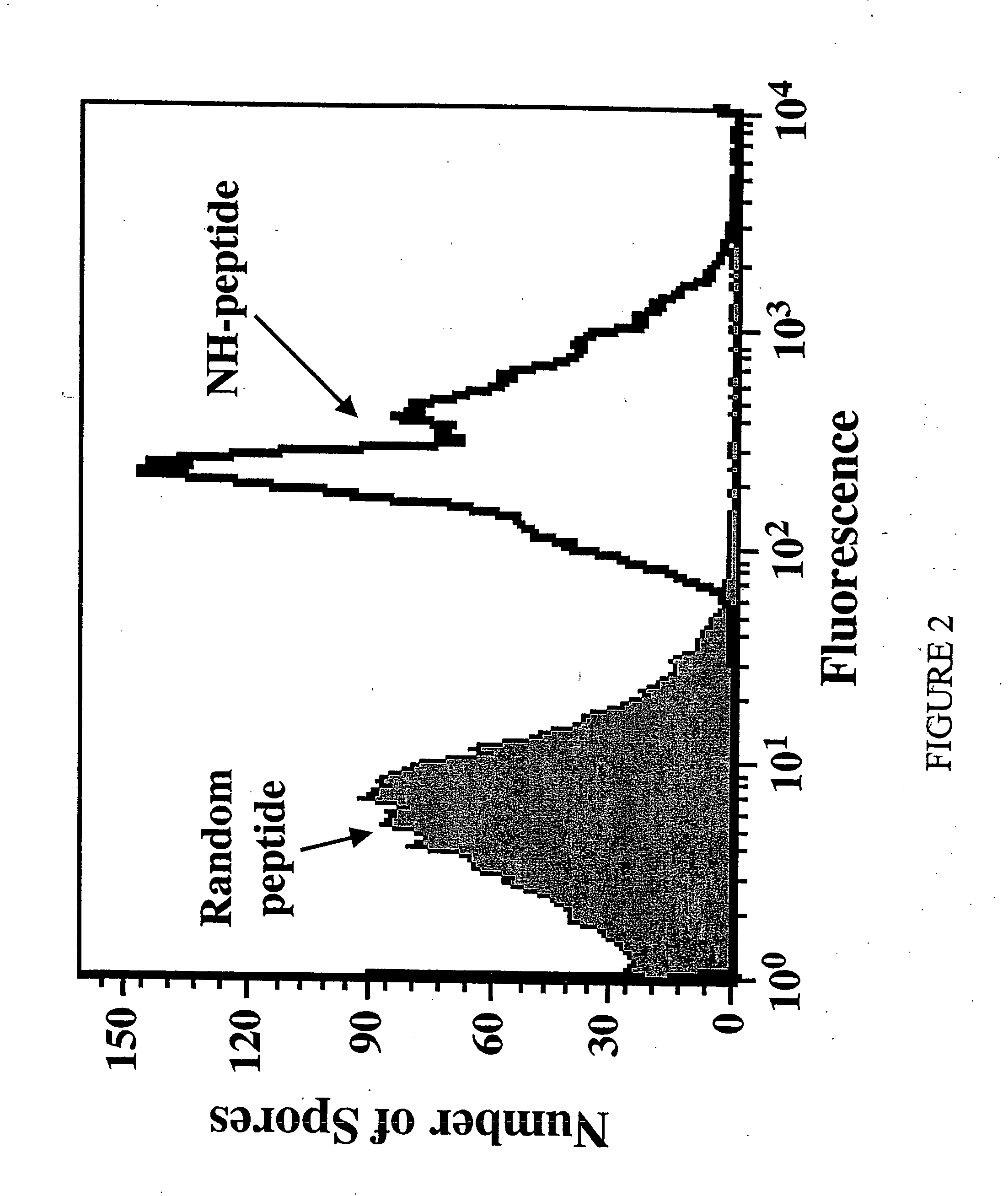 Peptide ligands for Bacillus anthracis spore detection