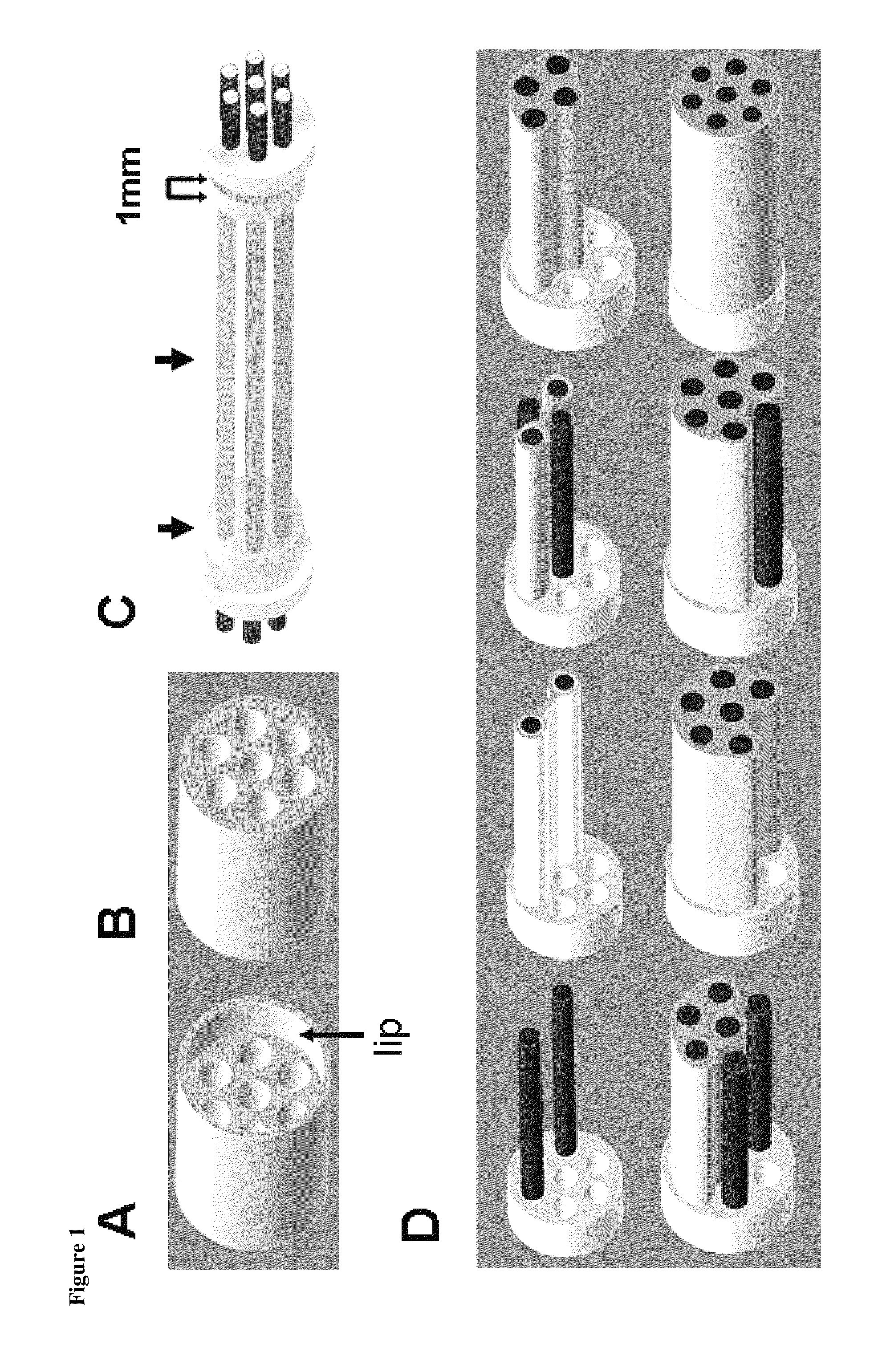 Multichannel collagen nerve conduit for nerve repair