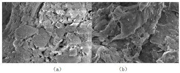 Loess particle grafted copolymer adsorbent and preparation method thereof