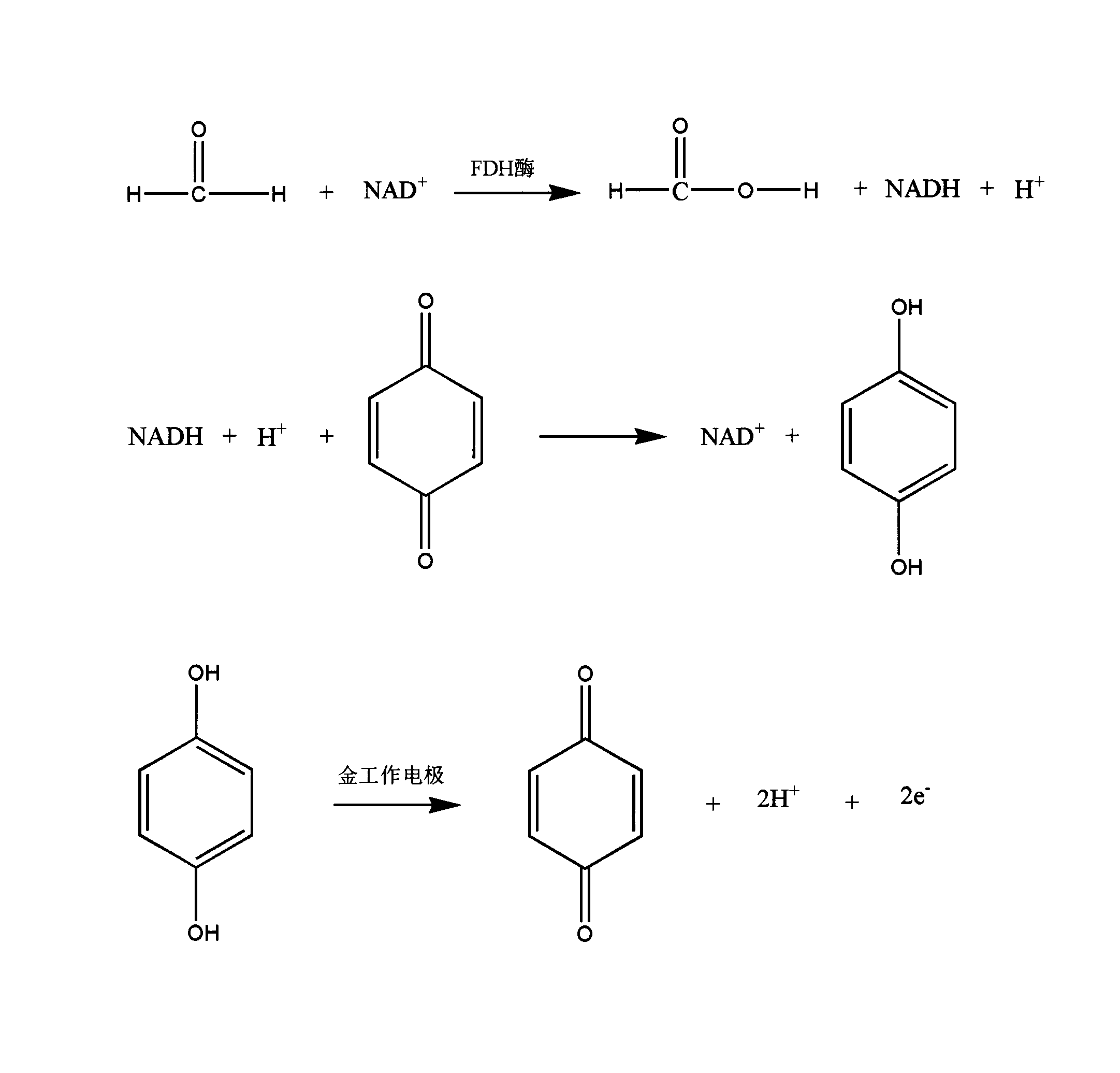 Preparation method of enzyme biosensor for detecting formaldehyde gas