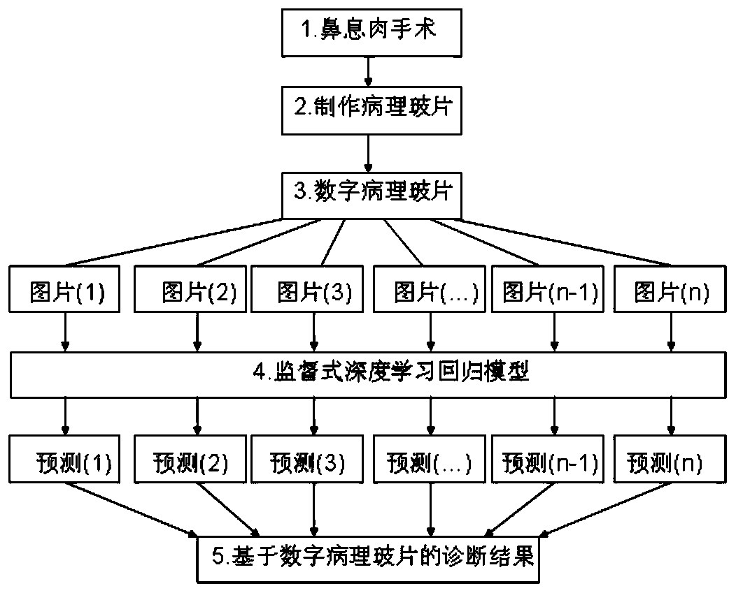 Method for typing chronic sinusitis based on digital pathological slide and system thereof