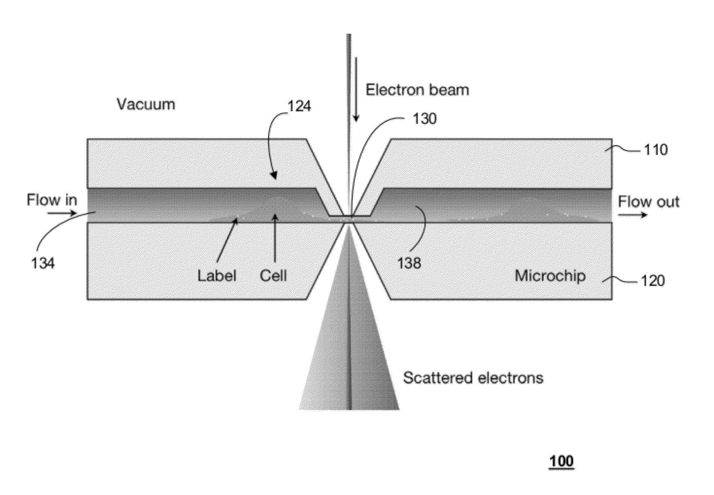 Transmission electron microscopy for imaging live cells