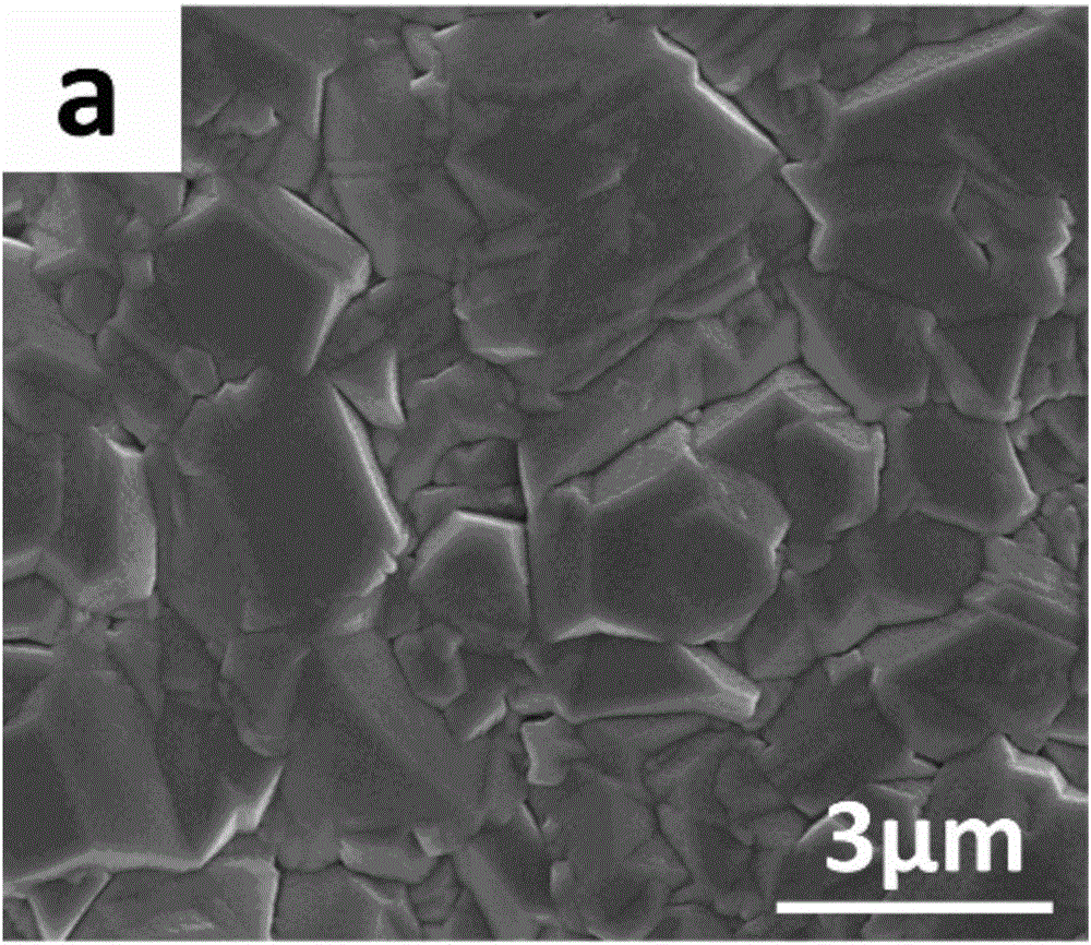 High-specific-surface-area boron-doped diamond electrode and preparation method and application thereof