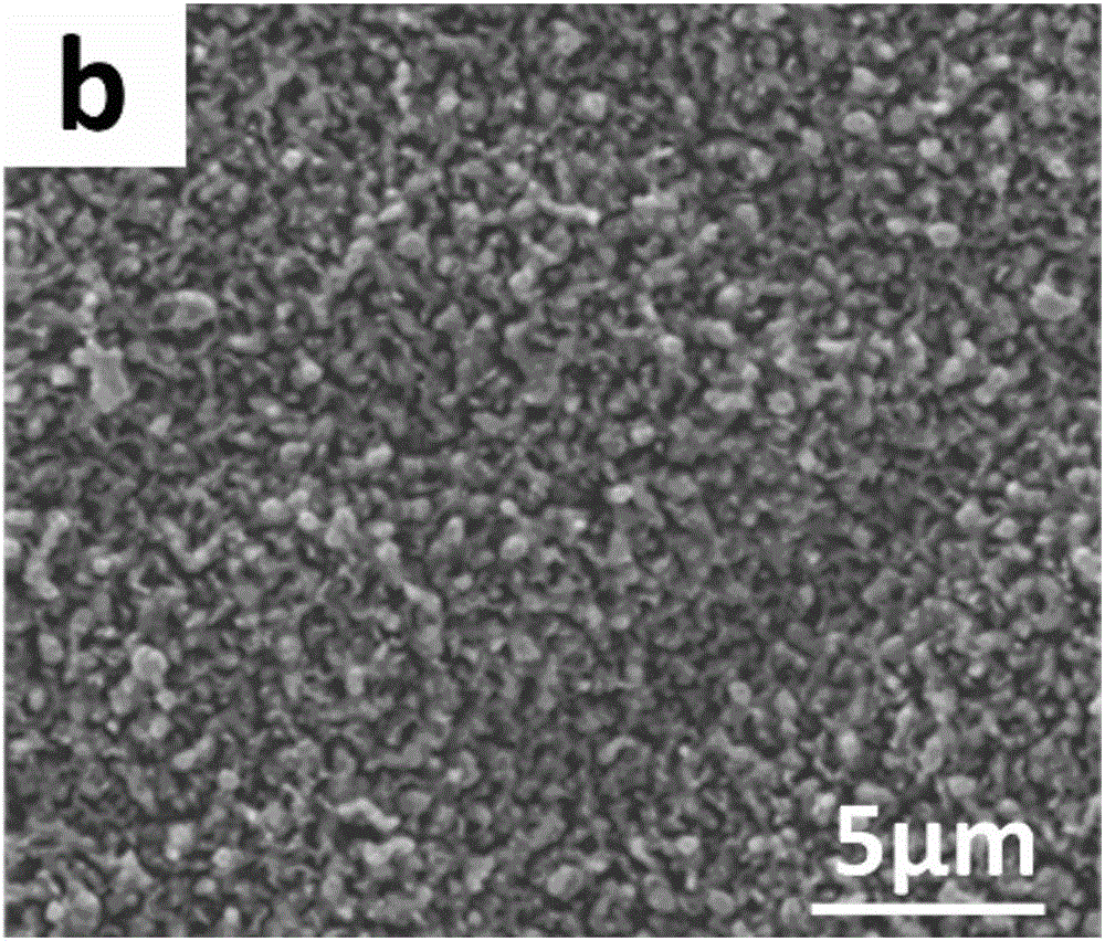 High-specific-surface-area boron-doped diamond electrode and preparation method and application thereof