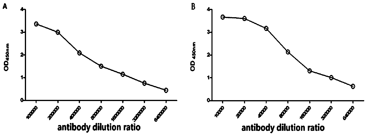 Double-resistant sandwich ELISA (enzyme linked immunosorbent assay) detection kit of human cardiac troponin I