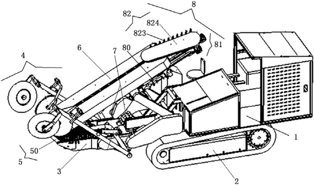 Conveying system of full-automatic crawler type Allium fistulosum harvester