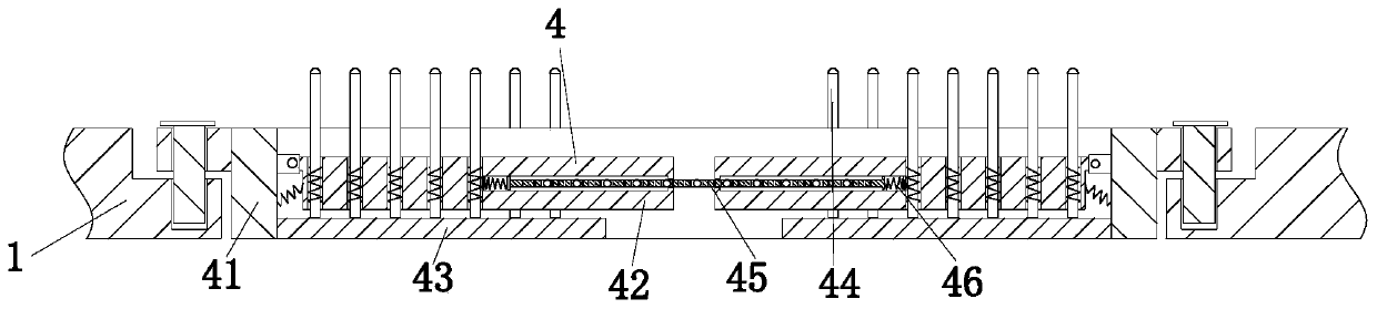 Drying system for processing and preserving of agrocybe cylindracea and drying process of drying system