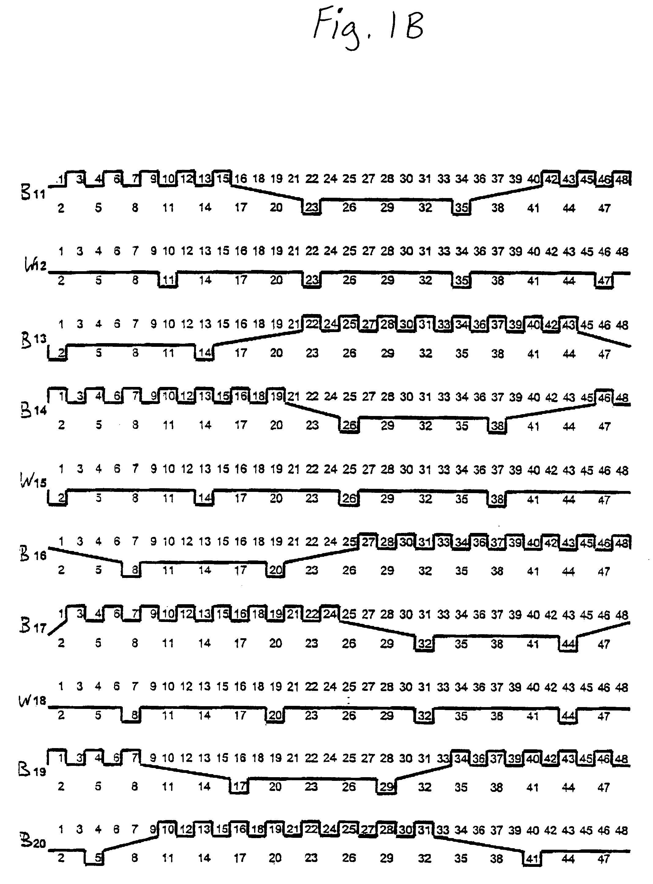 Compound forming fabric with additional bottom yarns